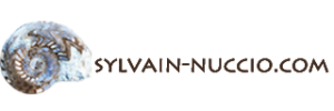 sylvain-nuccio.com